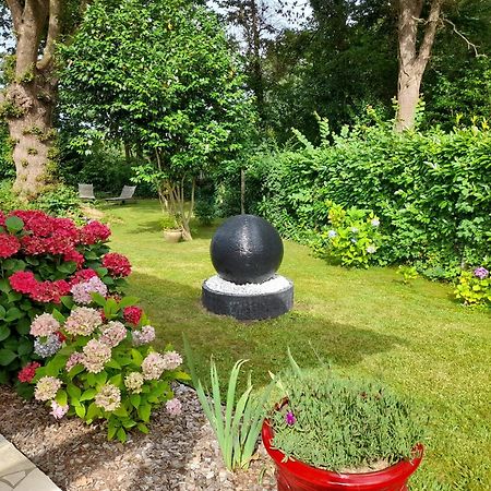 La Clairiere Du Seignanx Bed and Breakfast Saint-Martin-de-Seignanx Exteriör bild