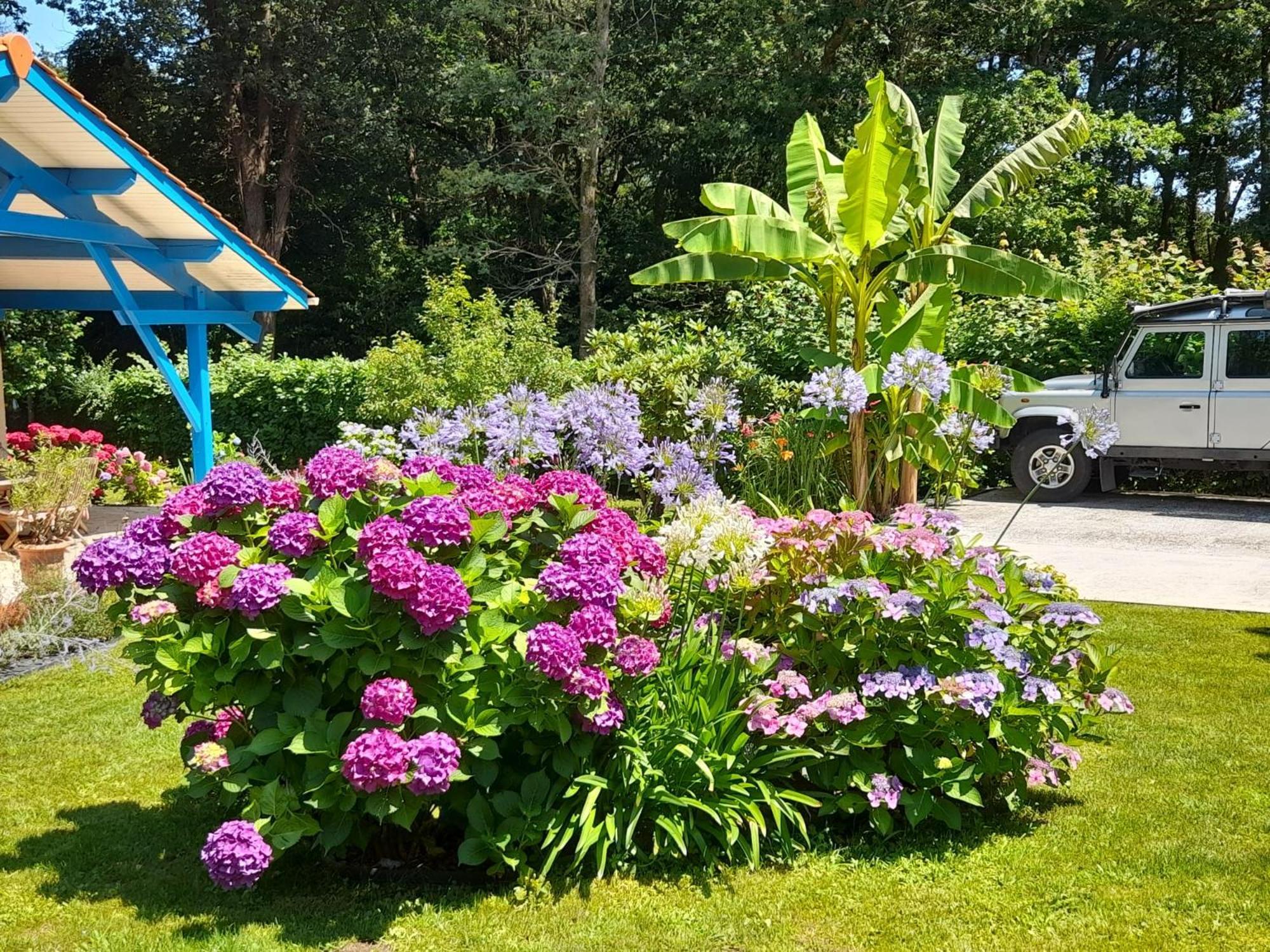 La Clairiere Du Seignanx Bed and Breakfast Saint-Martin-de-Seignanx Exteriör bild