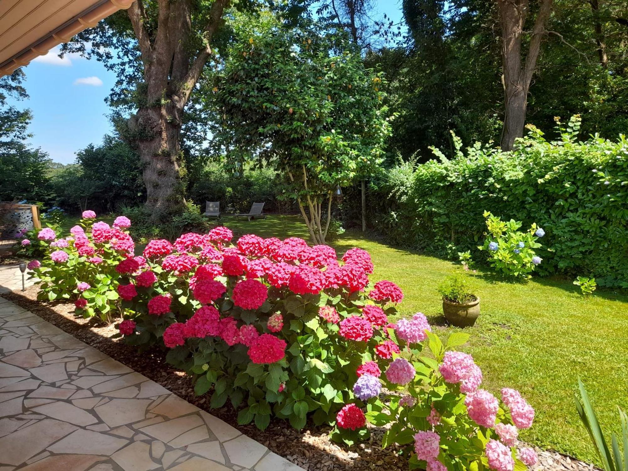 La Clairiere Du Seignanx Bed and Breakfast Saint-Martin-de-Seignanx Exteriör bild