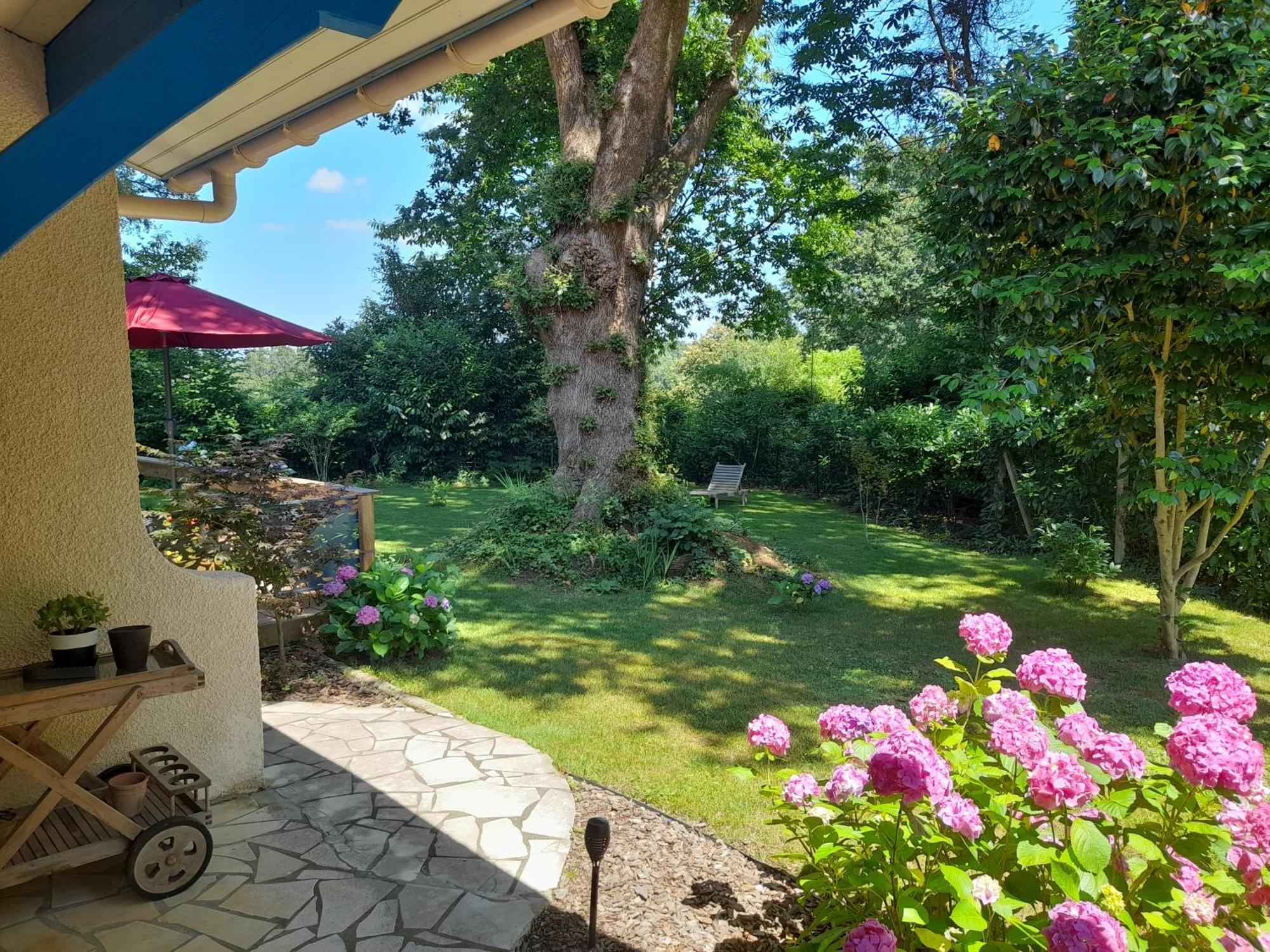 La Clairiere Du Seignanx Bed and Breakfast Saint-Martin-de-Seignanx Exteriör bild